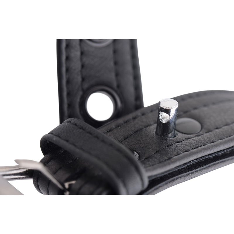 Strict Leather Luxury Locking Collar - Image 4