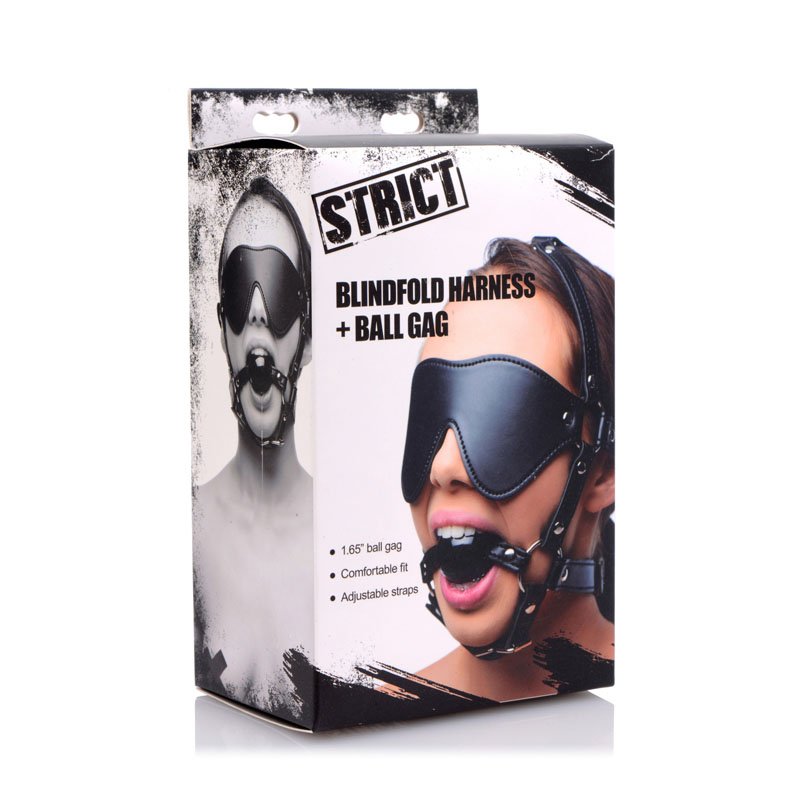 Blindfold Harness and Black Ball Gag - Image 4