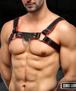 Leather English Bull Dog Harness Black/Red